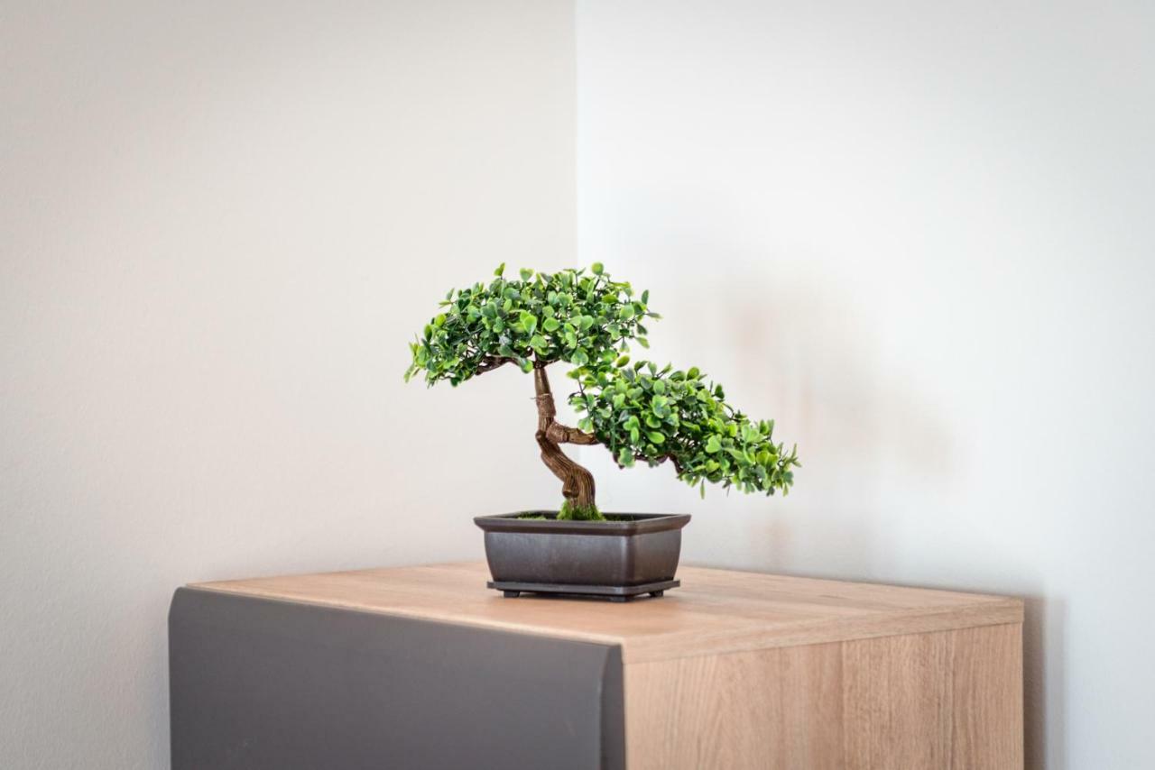 Apartment Ana Сплит Экстерьер фото